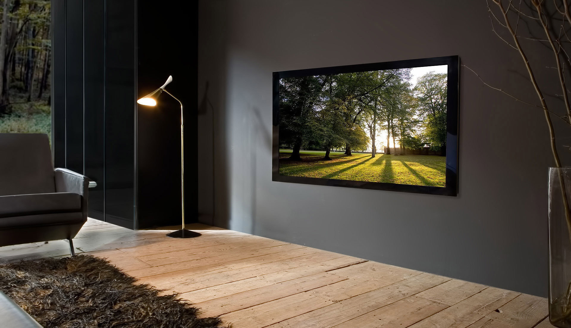 Телевизоры Pioneer